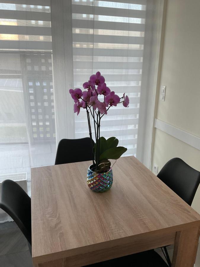 Apartament „Dwie Wieze” Apartment Katowice Bagian luar foto